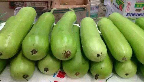 瓠瓜怎么吃呢,解锁健康美味新选择