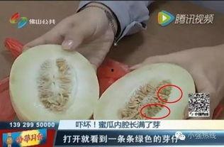 随机吃瓜12,揭秘娱乐圈背后的秘密与真相