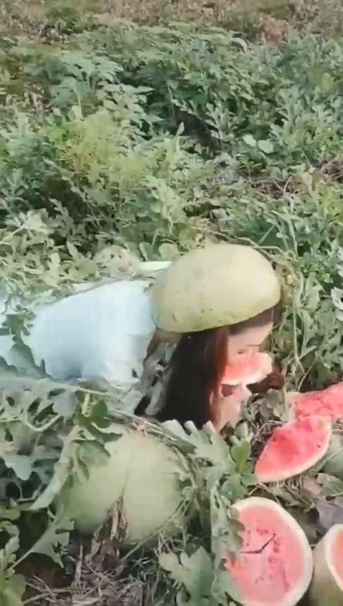 搞笑姐吃瓜,笑料百出，瓜田里的欢乐盛宴