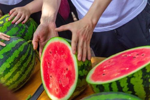 台湾大学吃瓜,揭秘校园里的“吃瓜”盛况