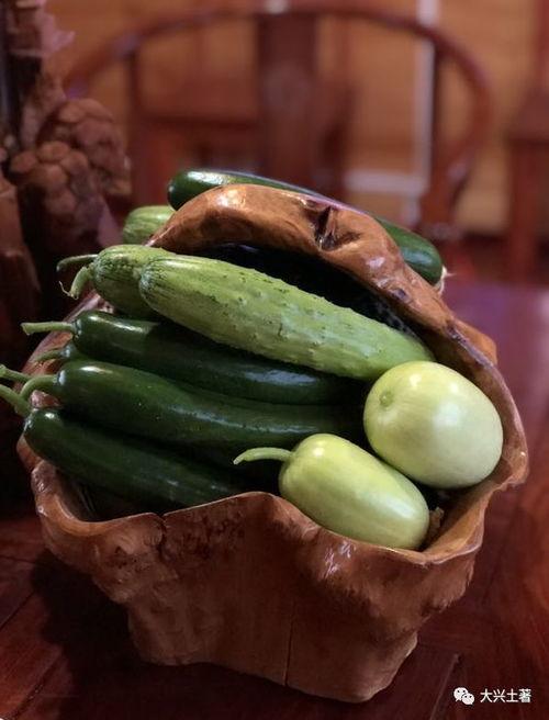 曲靖网红吃瓜,揭秘背后真相与网络舆论风暴