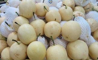 怀孕可以吃雪梨瓜