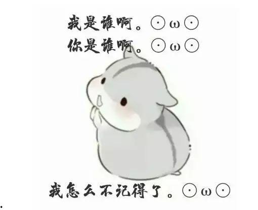 仓鼠吃瓜表情包,仓鼠吃瓜表情包的欢乐瞬间