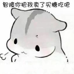 仓鼠吃瓜表情包,仓鼠吃瓜表情包的欢乐瞬间
