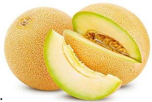 吃货吃哈密瓜奶冰,舌尖上的甜蜜诱惑