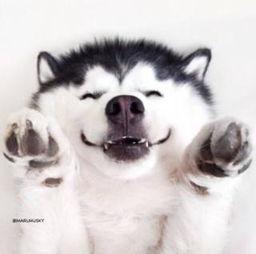 吃瓜群众吃瓜合集视频,盘点热门合集视频