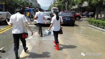 平阳鳌江吃瓜群众,吃瓜群众的夏日盛宴
