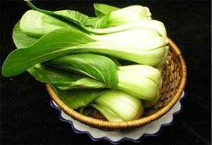 孕妇天天吃蒲瓜好吗,孕妇适量食用蒲瓜有益健康