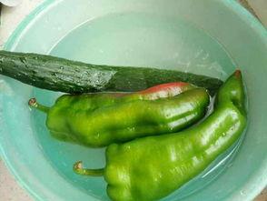 辣辣直播吃瓜,吃瓜群众狂欢，揭秘娱乐圈幕后故事