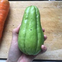 陌上田园吃瓜,一场别开生面的田园吃瓜盛宴