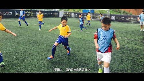 幼儿球赛吃瓜视频,一场别开生面的“吃瓜”观赛记