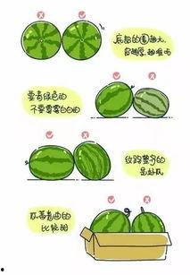 正确吃瓜模式