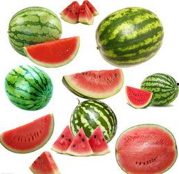 夏邱吃瓜,揭秘夏日消暑美食背后的故事