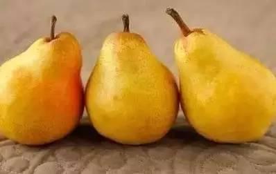 秋天吃瓜夏天吃果,秋天吃瓜，夏天品果