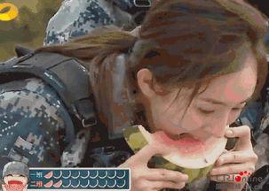 豪放的吃瓜群众,揭秘娱乐圈幕后风云