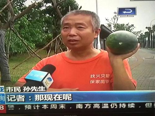 热点事件吃瓜曝光,吃瓜群众视角下的真相曝光