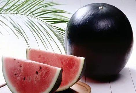 卖水果吃瓜视频,揭秘卖水果吃瓜视频背后的甜蜜经济