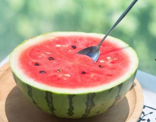 超长西瓜特效吃瓜