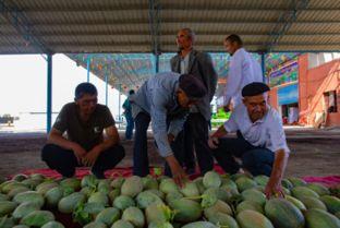 感谢网络吃瓜群众,感谢有你，见证时代变迁