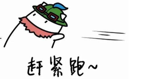 吃瓜提莫,揭秘网络红人的成长之路