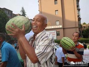 纳凉吃瓜照片大全,纳凉吃瓜照片大全集锦