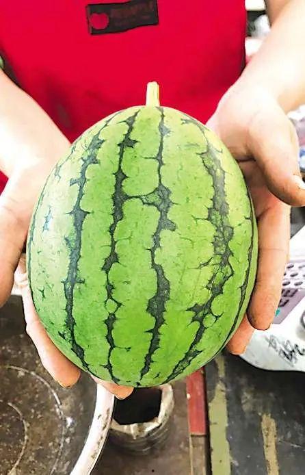 青岛情侣吃瓜,共享夏日浪漫时光