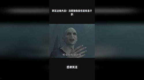 吃我一击阿瓦达啃大瓜,揭秘魔法世界的神秘力量