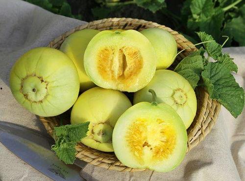 瓜甜不甜怎么吃