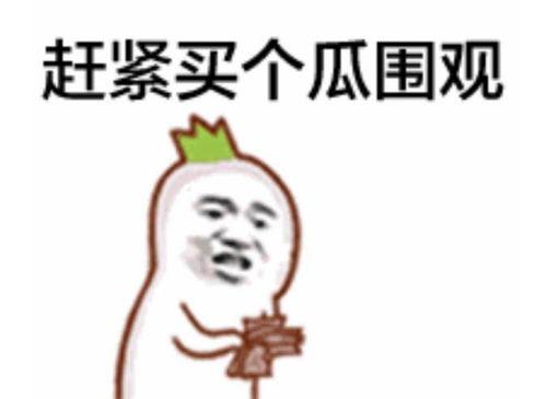 吃瓜表情要怎么回,网络热词背后的文化现象