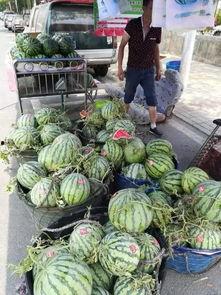 介休吃瓜的事件,一场网络舆论的风暴与反思