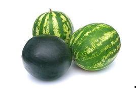 介休吃瓜的事件,一场网络舆论的风暴与反思