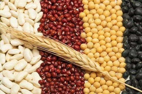 为什么吃豆少吃瓜,揭秘为何豆少吃瓜的饮食智慧