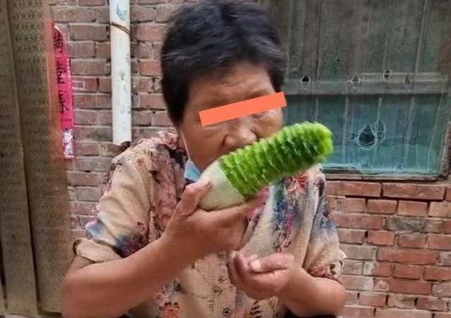 吃儿子的瓜,揭秘吃儿子的惊人真相