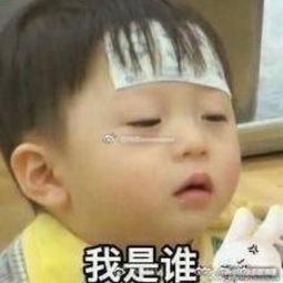 吃瓜群众马师傅,揭秘娱乐圈那些事儿