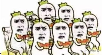 别样吃瓜装瞎,揭秘网络迷雾中的真实故事