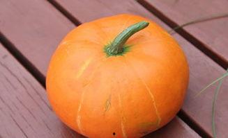 吃付瓜的功效,润肺止咳，美容养颜的天然良药”