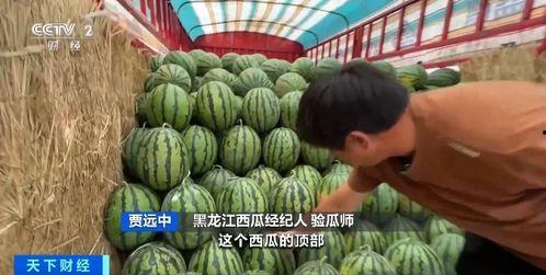 house吃瓜现场,一场娱乐圈的狂欢盛宴