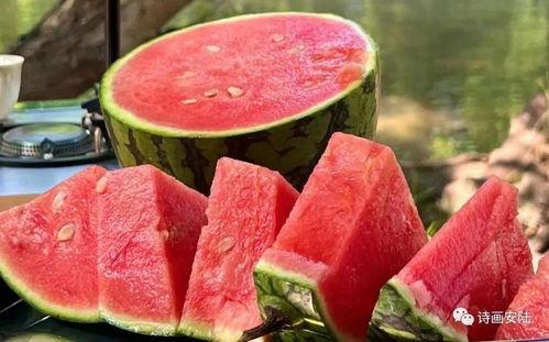 接稿吃瓜,揭秘网络文学背后的故事与趣味