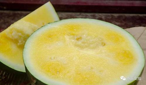 接稿吃瓜,揭秘网络文学背后的故事与趣味