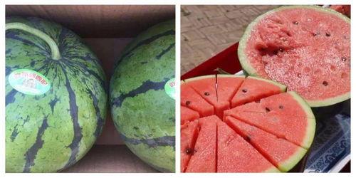 吃瓜了学习视频,揭秘娱乐圈幕后故事