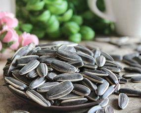 吃瓜把瓜子吃了,吃瓜群众瓜子之旅